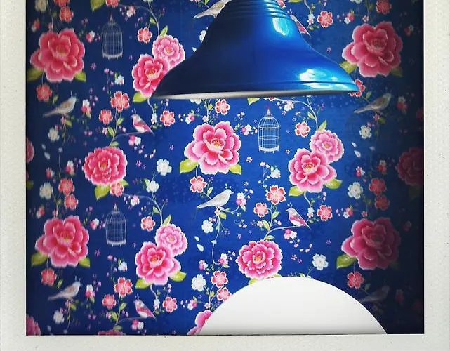 Juuls Πανσιόν